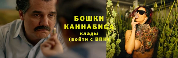 ГАЛЛЮЦИНОГЕННЫЕ ГРИБЫ Белокуриха