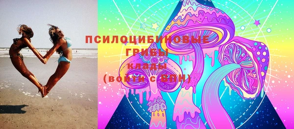 ГАЛЛЮЦИНОГЕННЫЕ ГРИБЫ Белокуриха
