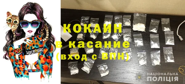 ГАЛЛЮЦИНОГЕННЫЕ ГРИБЫ Белокуриха