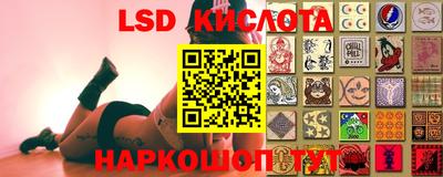 PSILOCYBIN Аргун
