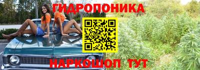 PSILOCYBIN Аргун