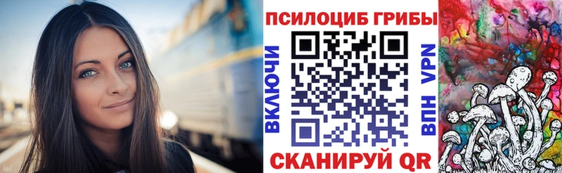 где купить наркоту  Вязьма  Псилоцибиновые грибы ЛСД 
