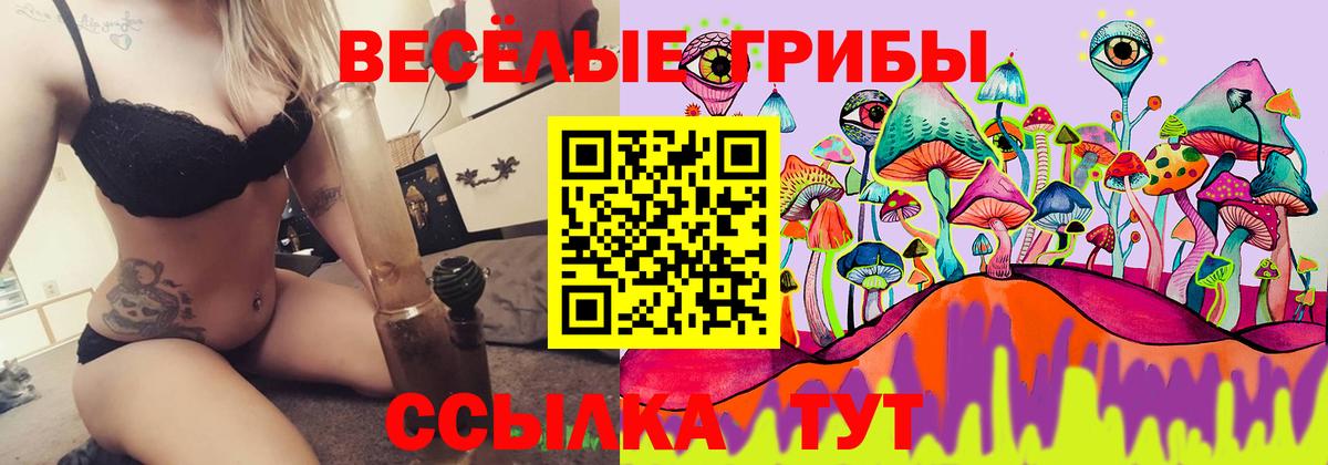 Вязьма  дарнет шоп  Вход с VPN  Псилоцибиновые грибы прущие грибы 