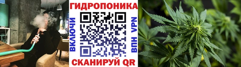 blacksprut зеркало  Вязьма  Шишки марихуана THC 21% 
